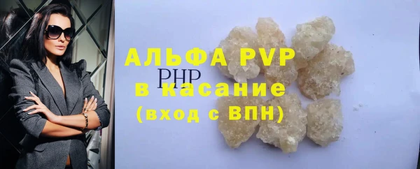 прущий лед Дмитриев