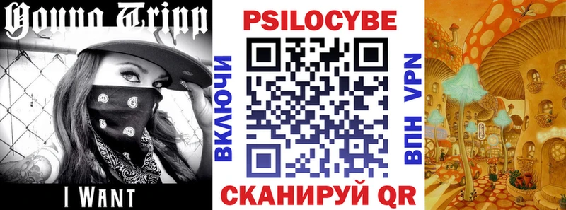 Псилоцибиновые грибы мицелий  Камызяк 